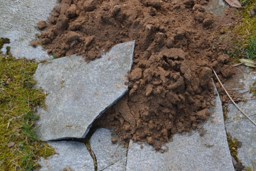Soil Stabilization Services in Englewood, FL